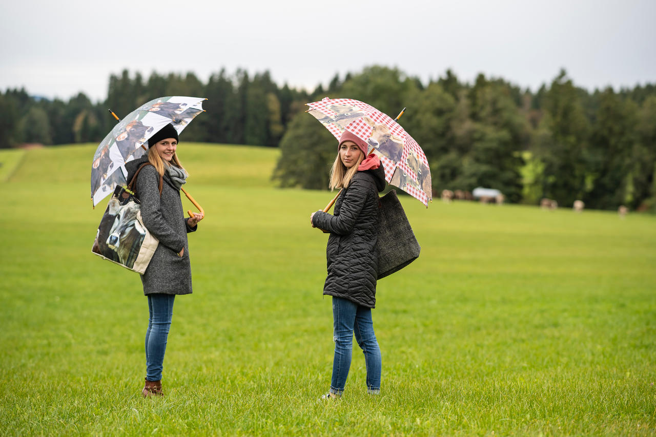 Mars & More Parapluie "Vache alpine"