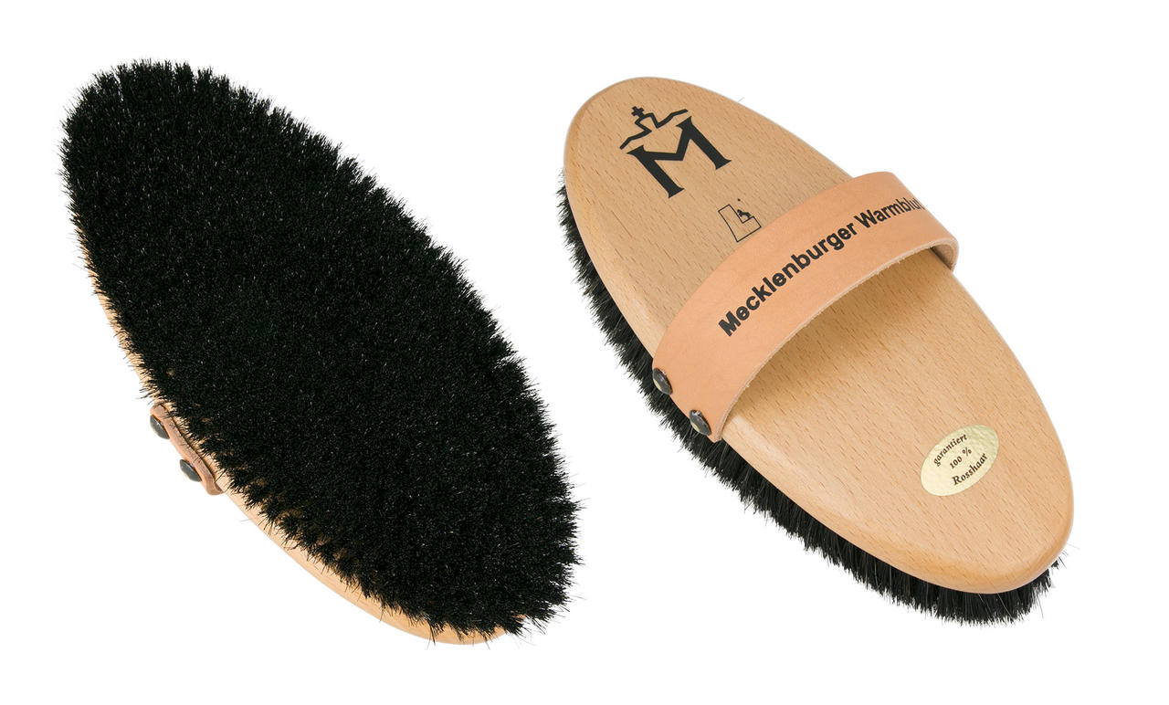 Leistner Brosse à panser Mecklenburger Warmblut