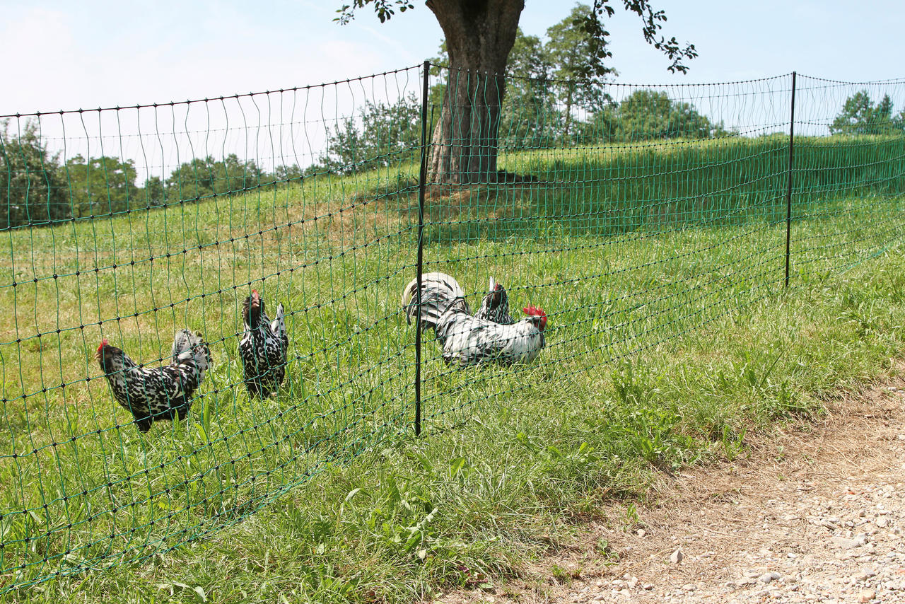 Kerbl PoultryNet Filet à poules 106 cm, 25 m de long