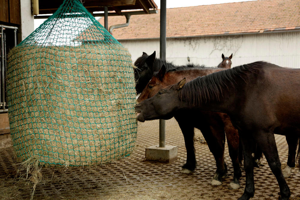 Filet à foin pour balles rondes – suspendu