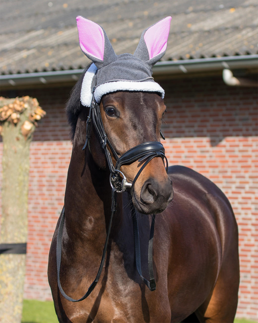 QHP Bonnet anti-mouches en forme d'oreilles de lapin de pâques