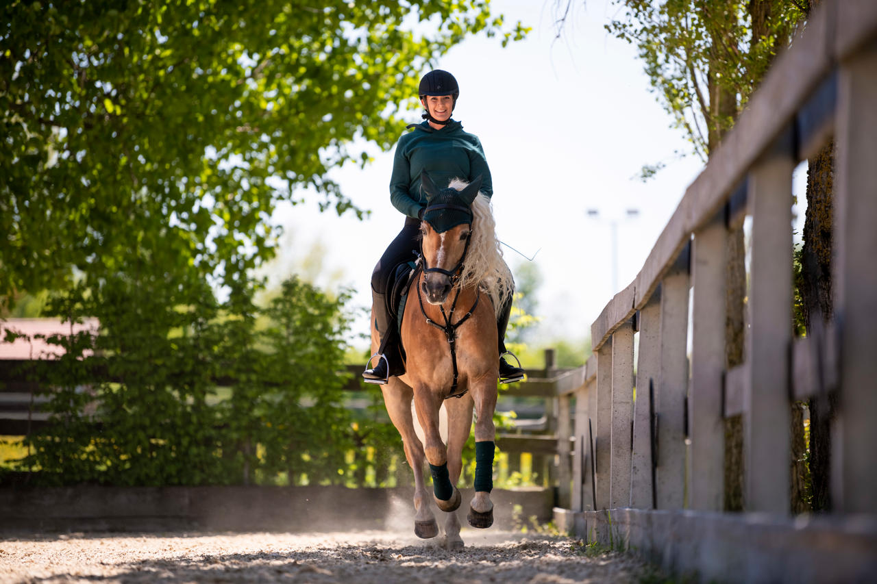 Ekkia Casque d'équitation Equithème Compet Cristal