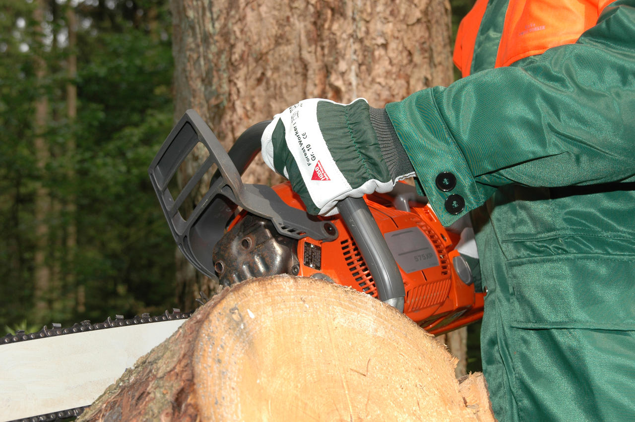 HASE GANT DE FORESTIER -FOREST WORKER I