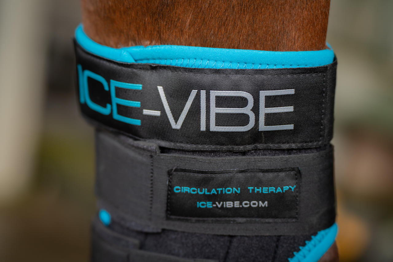 Horseware Ice Vibe Hock Wrap