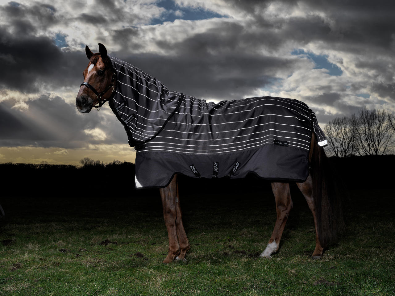 Horseware Couverture d'extérieur Amigo® Bravo 12 Reflectech Plus (Légère 100g)