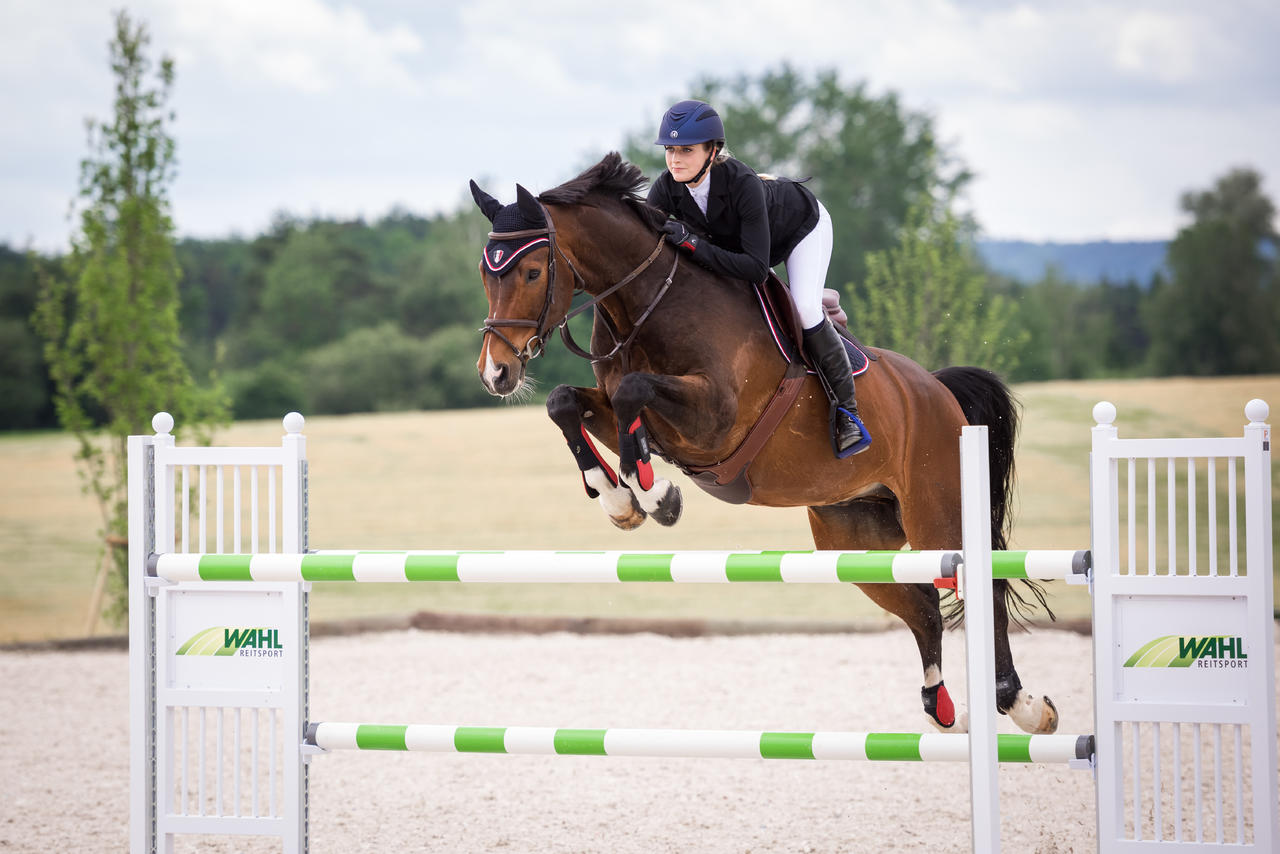 Helite Veste de concours Airjump