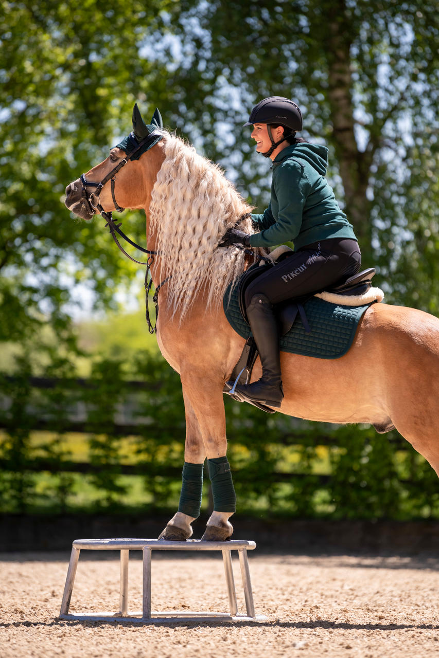 Ekkia Casque d'équitation Equithème Compet Cristal