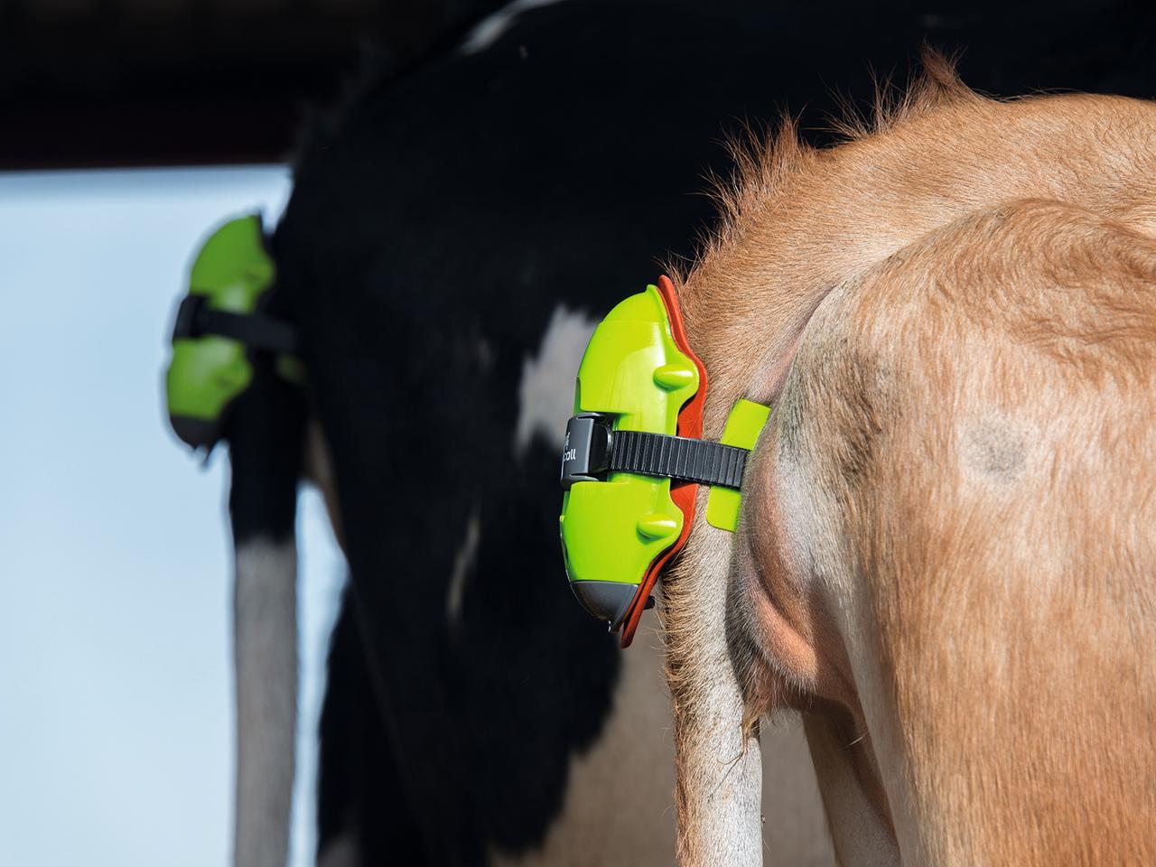 Kerbl Détecteur de vêlage Moocall