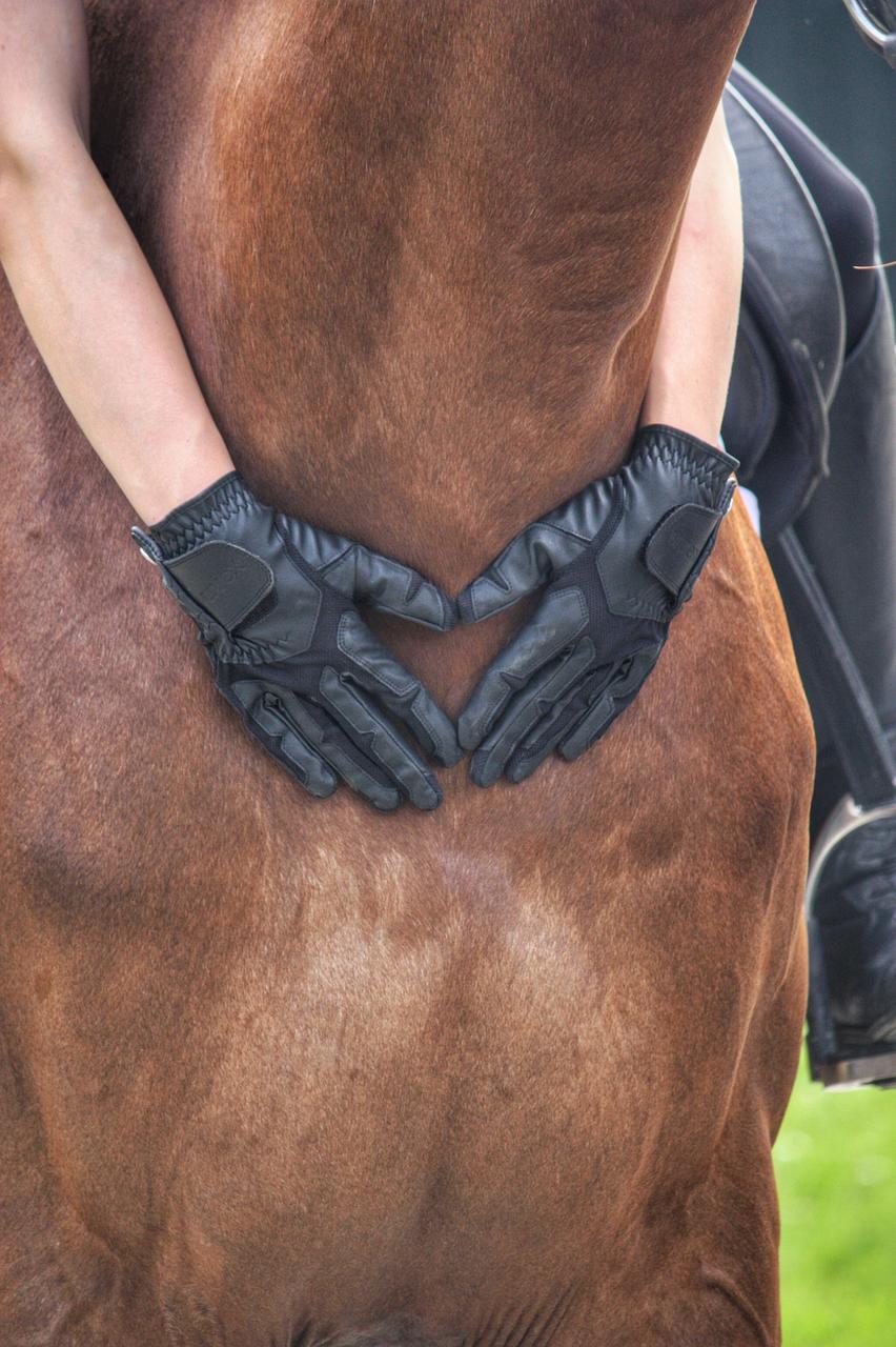 uvex Gants d'équitation Ventraxion