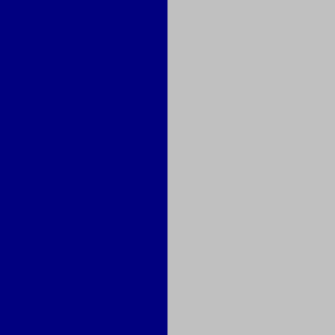 bleu marine/argenté