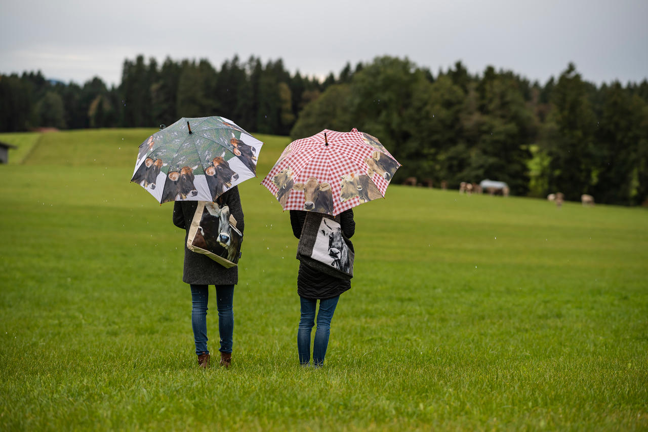 Mars & More Parapluie "Vache alpine"