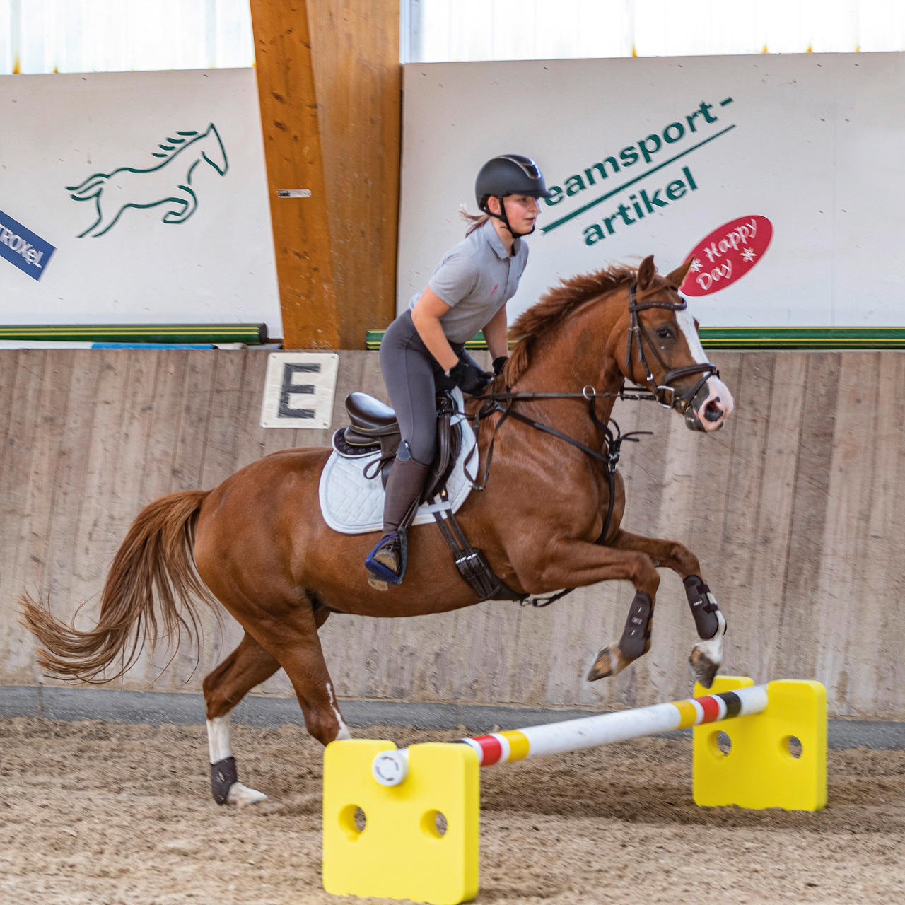 USG Bloc de Cavaletti Agility