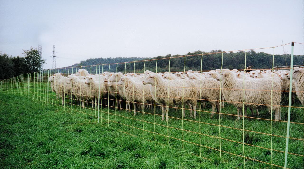 Göbel EURONETZ KOMBI Filet pour moutons, hauteur 106 cm