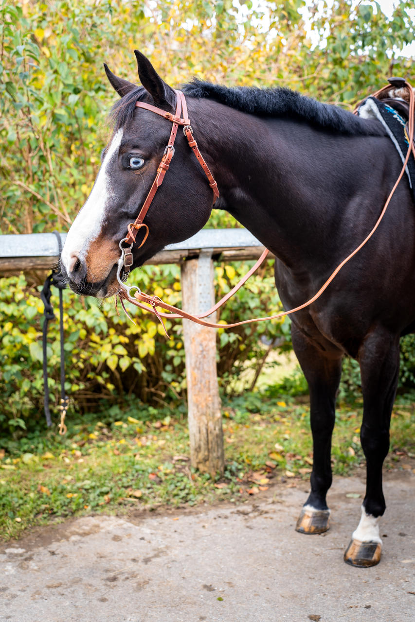 Protection "Split Reins" 8' x 5/8