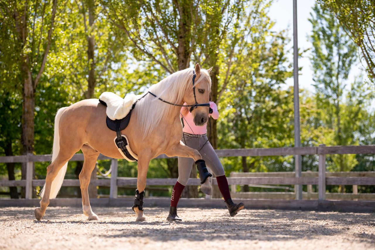 Waldhausen Guêtres de dressage Soft