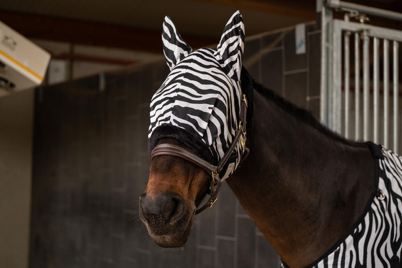 Waldhausen Masque anti-mouches Zebra