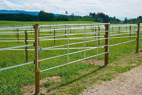 WAHL-Hausmarke Barrière d'herbage réglable Standard - différentes tailles