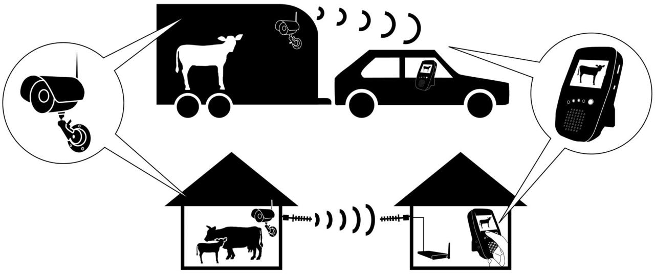 Kerbl Kit de caméras pour bâtiment et transport 2,4 GHz