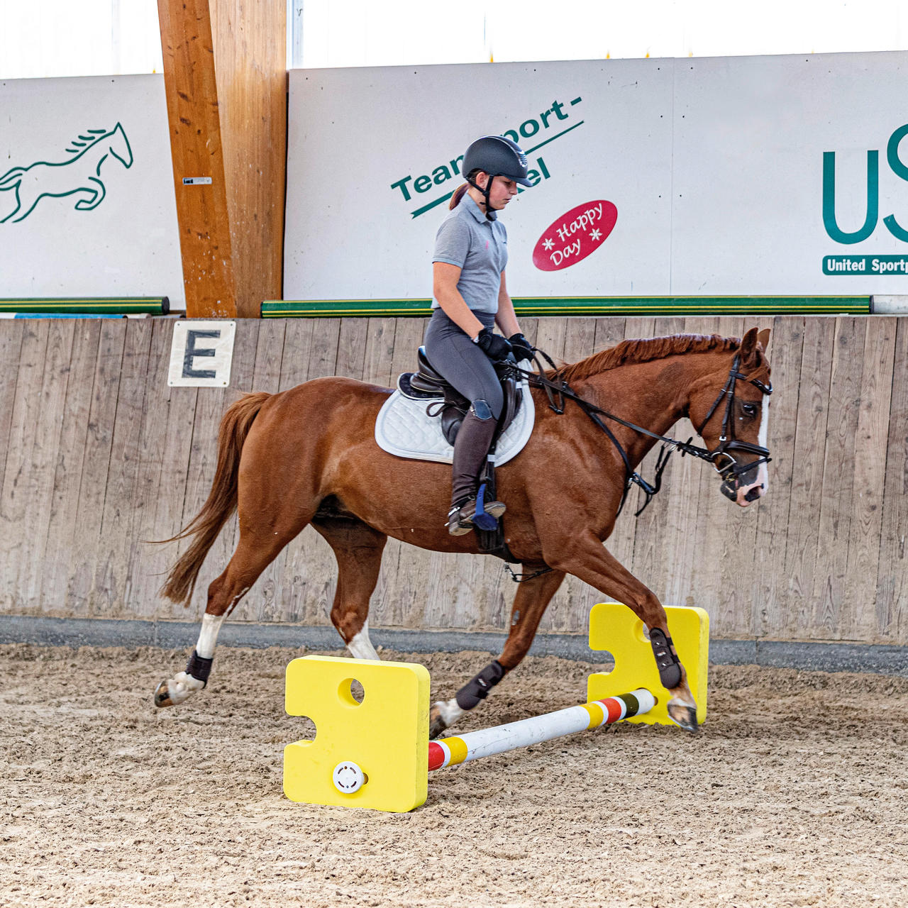 USG Bloc de Cavaletti Agility