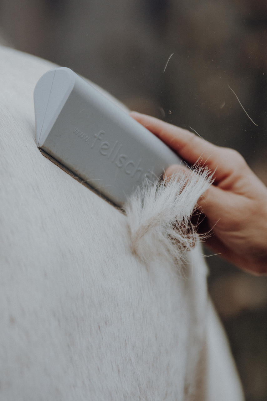 Brosse Fellschön en plastique