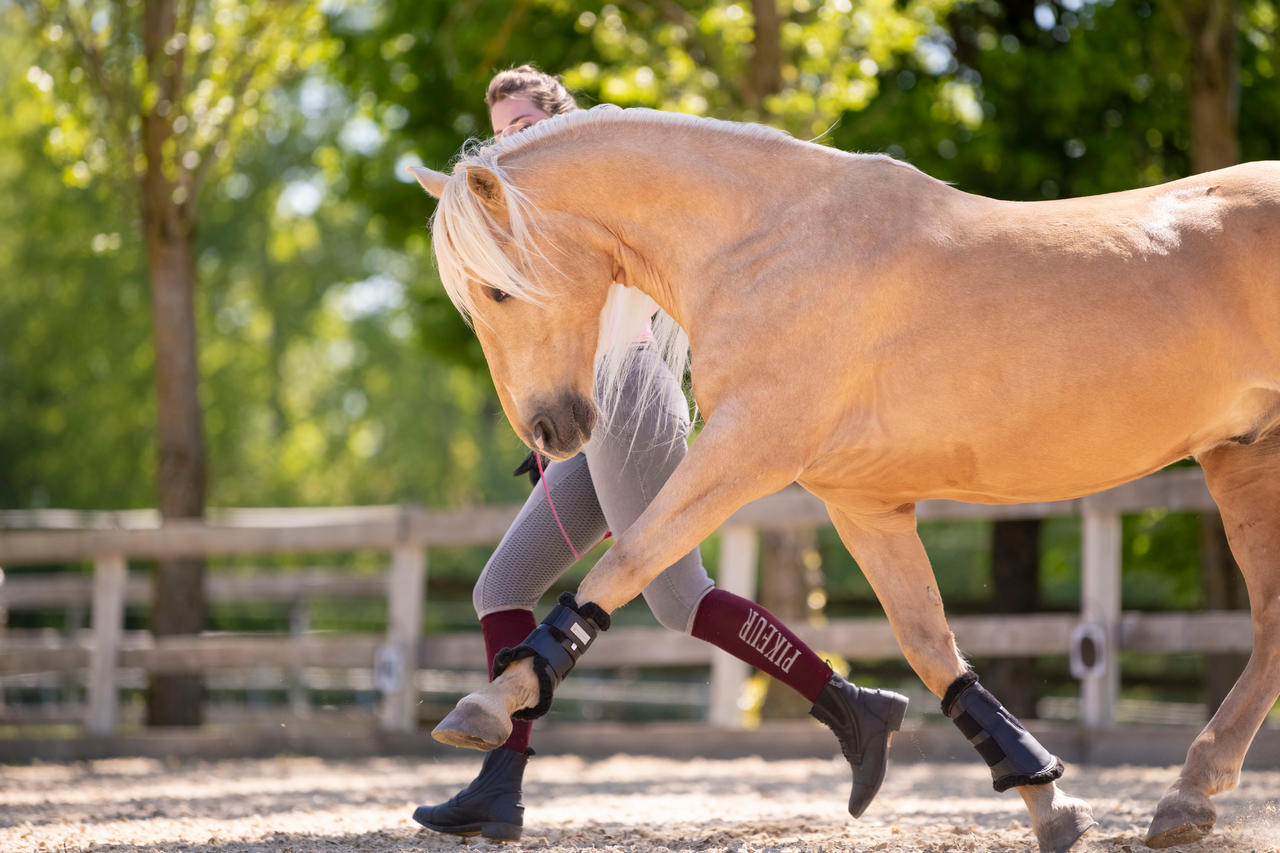 Waldhausen Guêtres de dressage Soft