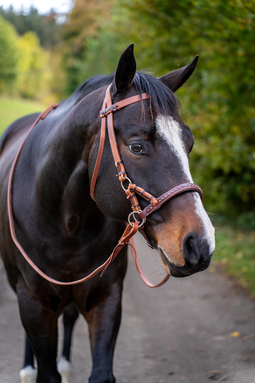 Rênes réglables Roping Reins