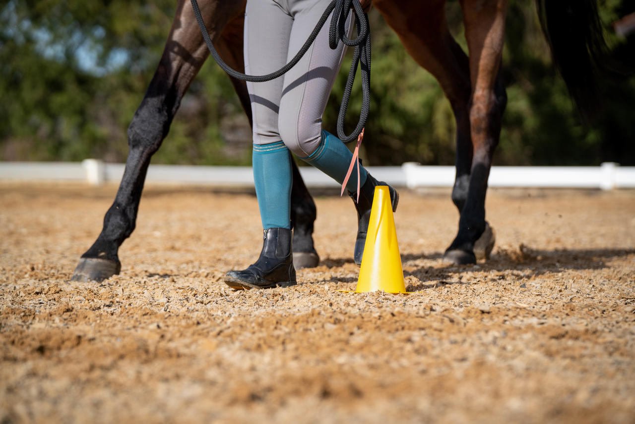 Longe Westernrope avec mousqueton anti-panique