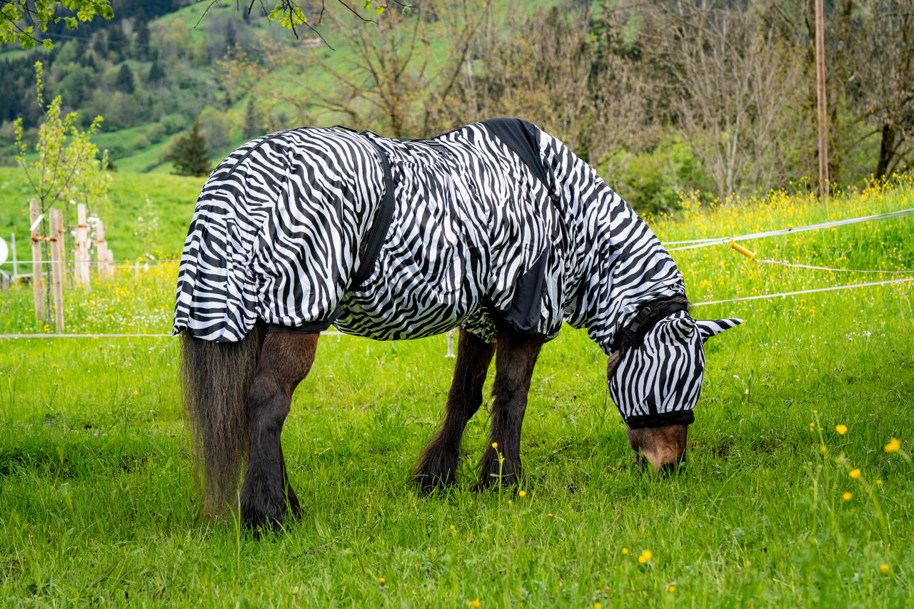 Waldhausen Masque anti-mouches Zebra