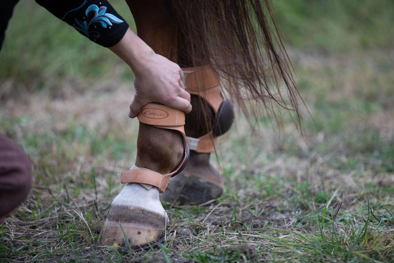 LAMI-CELL Protège boulet arrière en cuir de reining avec fermeture velcro