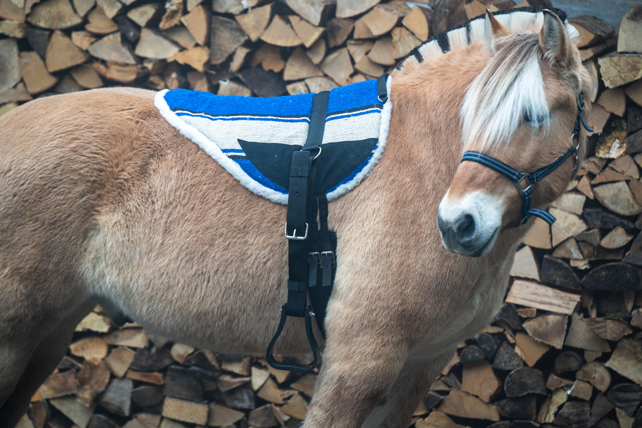 Bareback Pad Navajo