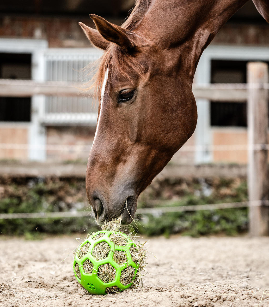 Waldhausen Balle à foin