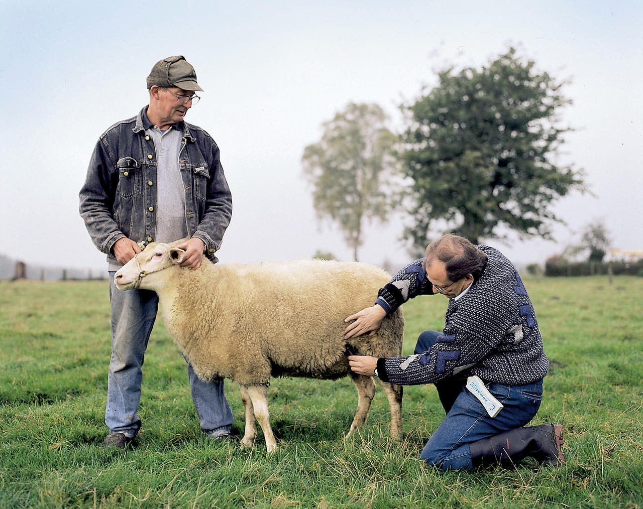 HK-Rheintechnik Détecteur de gestation HK