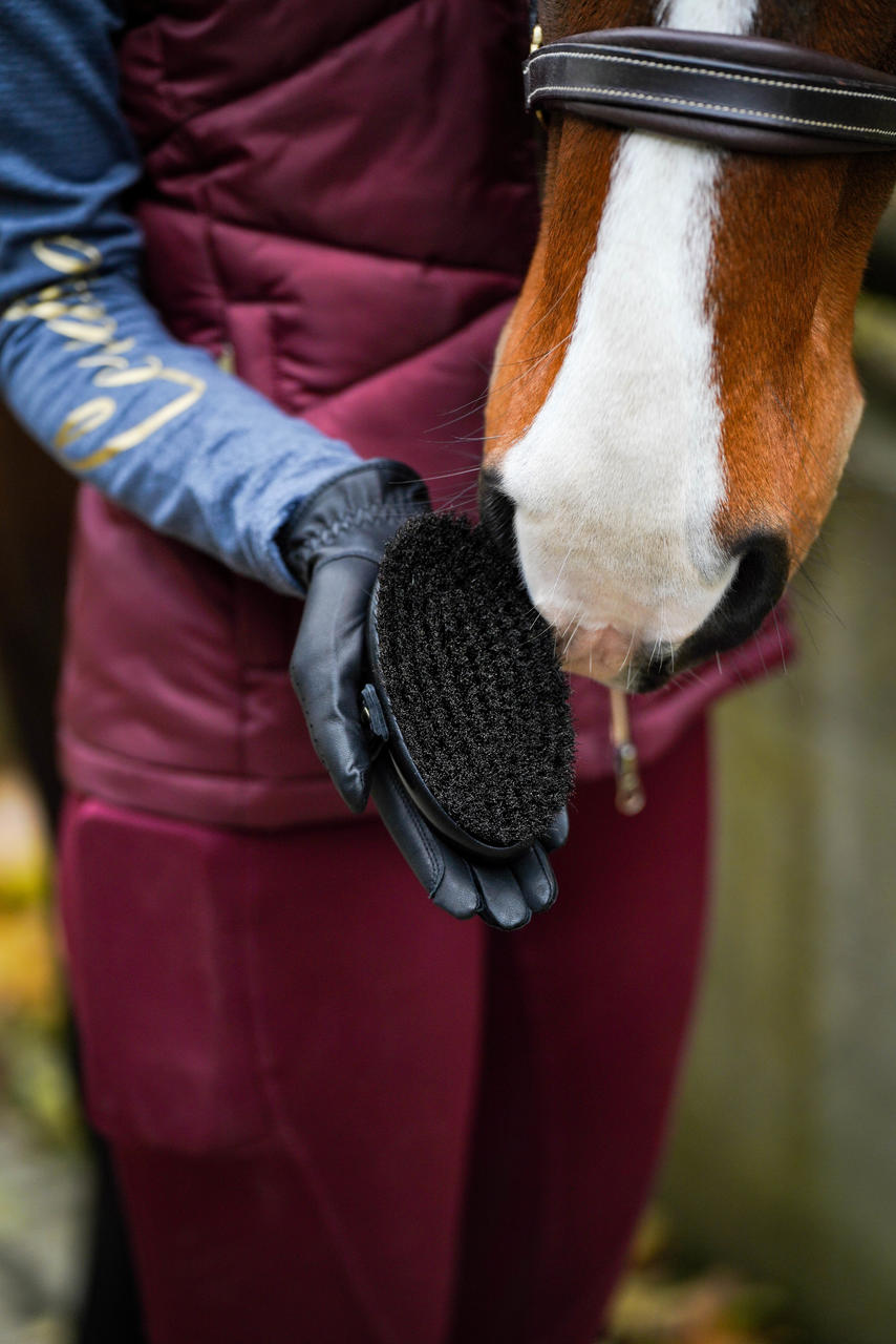 Leistner Brosse à panser pour tête de cheval