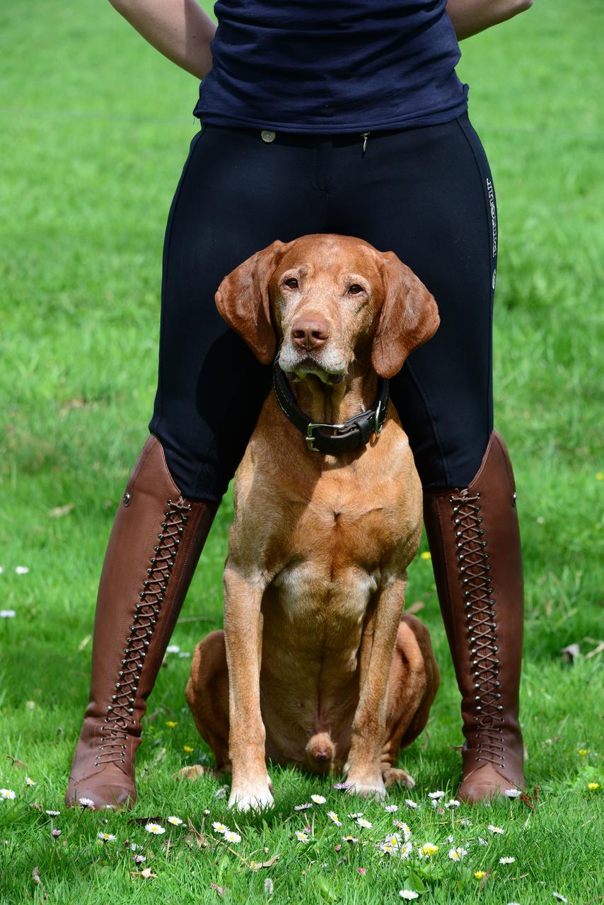 Busse Bottes d'équitation en cuir Laval - marrons