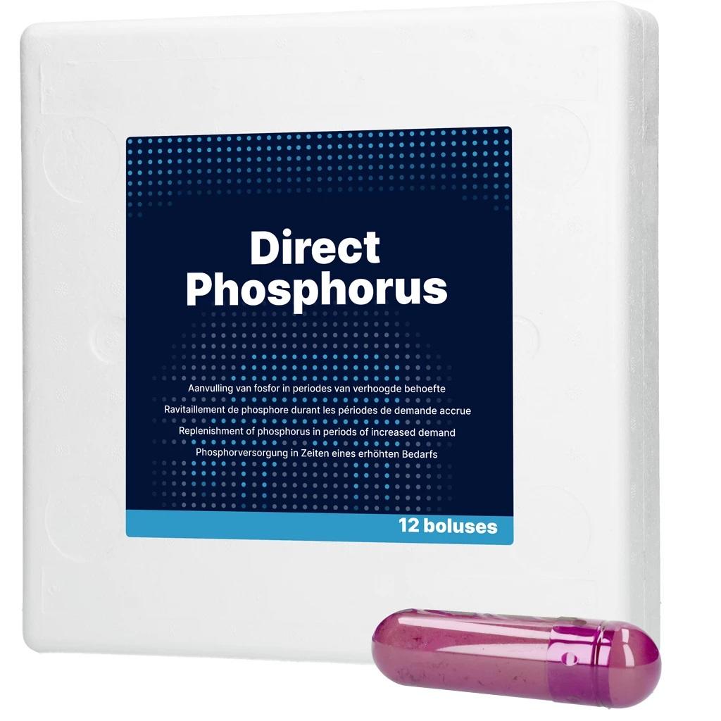 Hofman Animal Care Direct Phosphorus - 12 Boli à 123 g