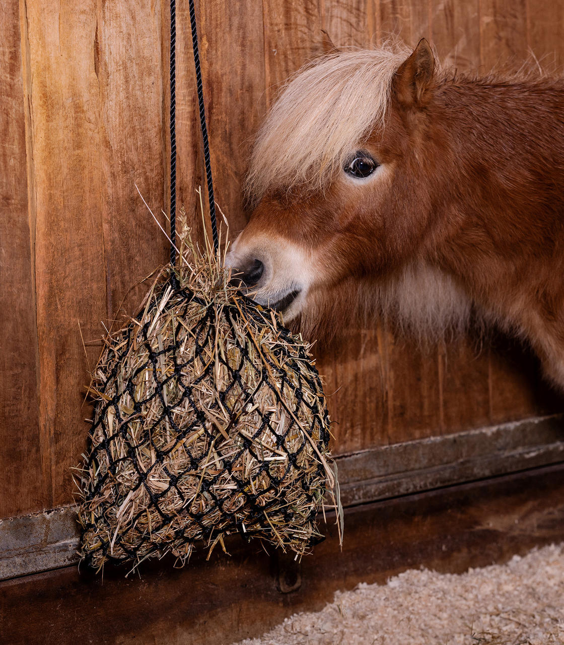 Waldhausen Filet à foin pour shetty SlowFeed