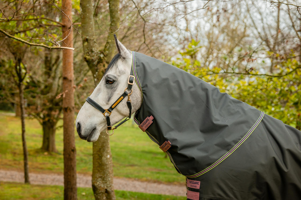 Horseware Couvre-cou Indéchirable Amigo® Hero Hood (Léger 0g)