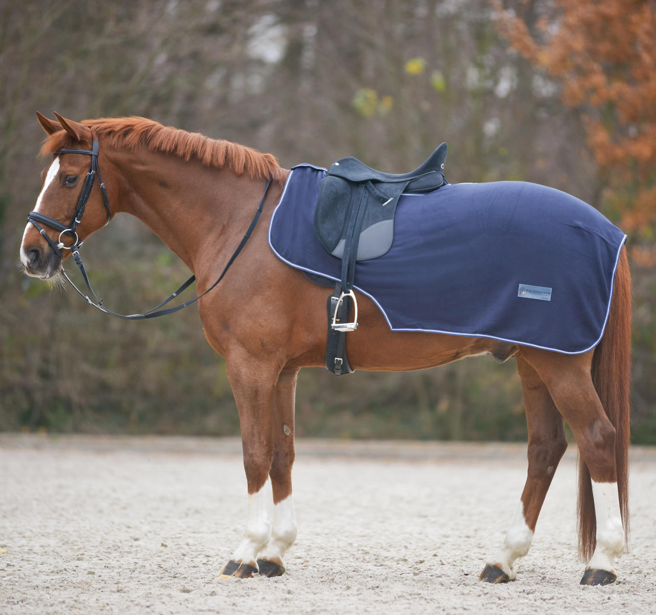 Waldhausen Couverture d'équitation en polaire Economic