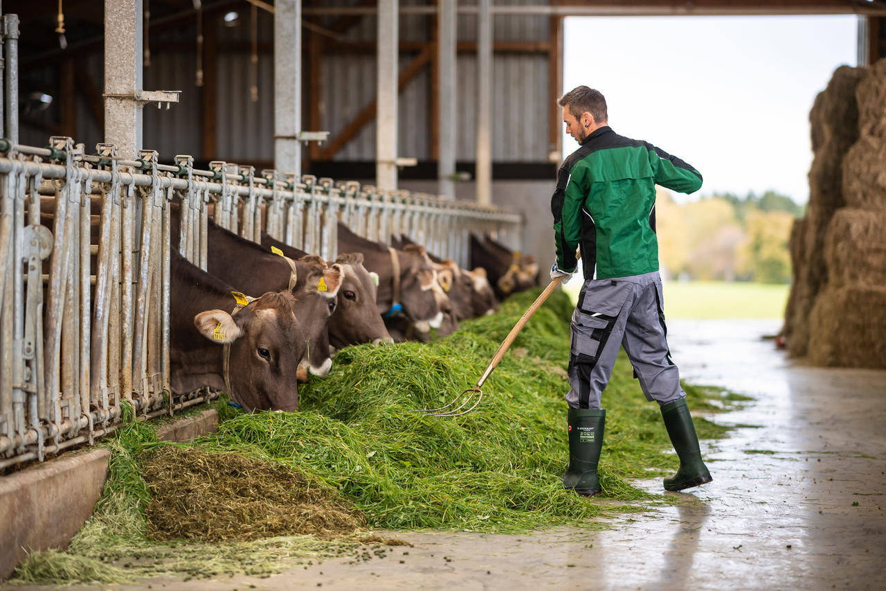 Dunlop ® Bottes Purofort® FieldPRO