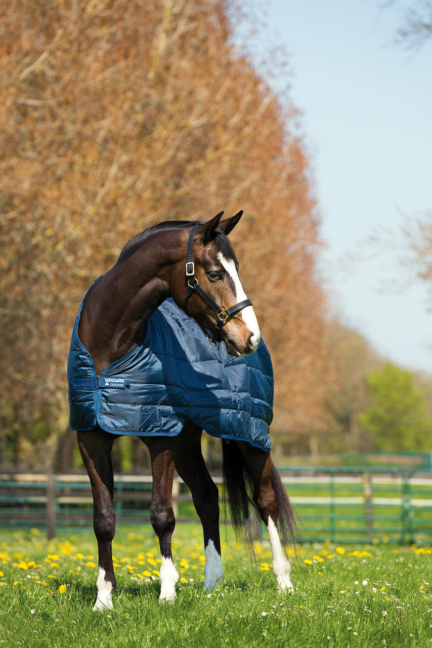 Horseware Liner Sous-couverture 100 g