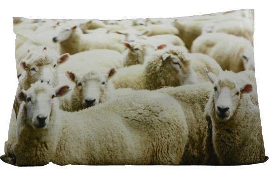 Mars & More Coussin en toile "Moutons"