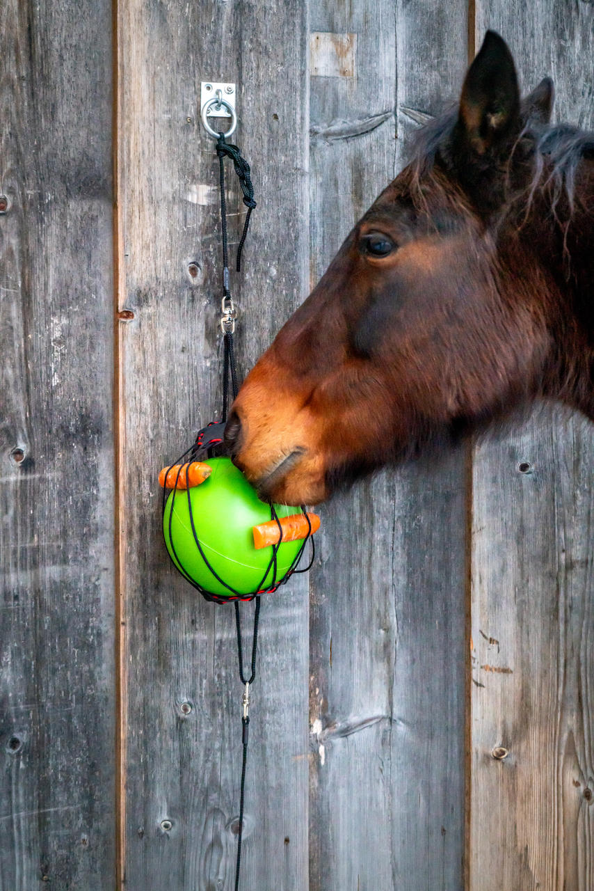 Kerbl Balle à jouer thérapeutique pour chevaux