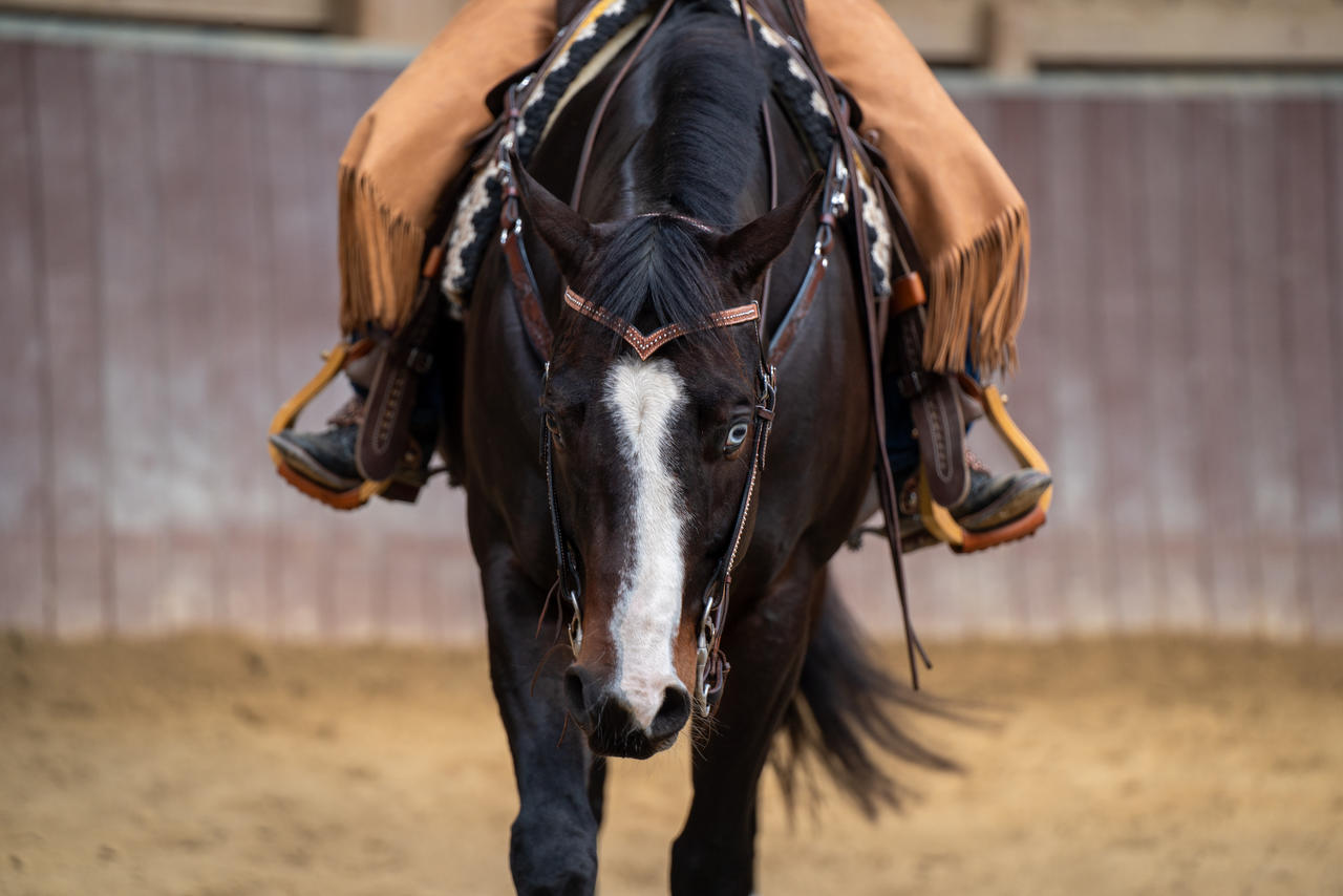 Bride western tressée