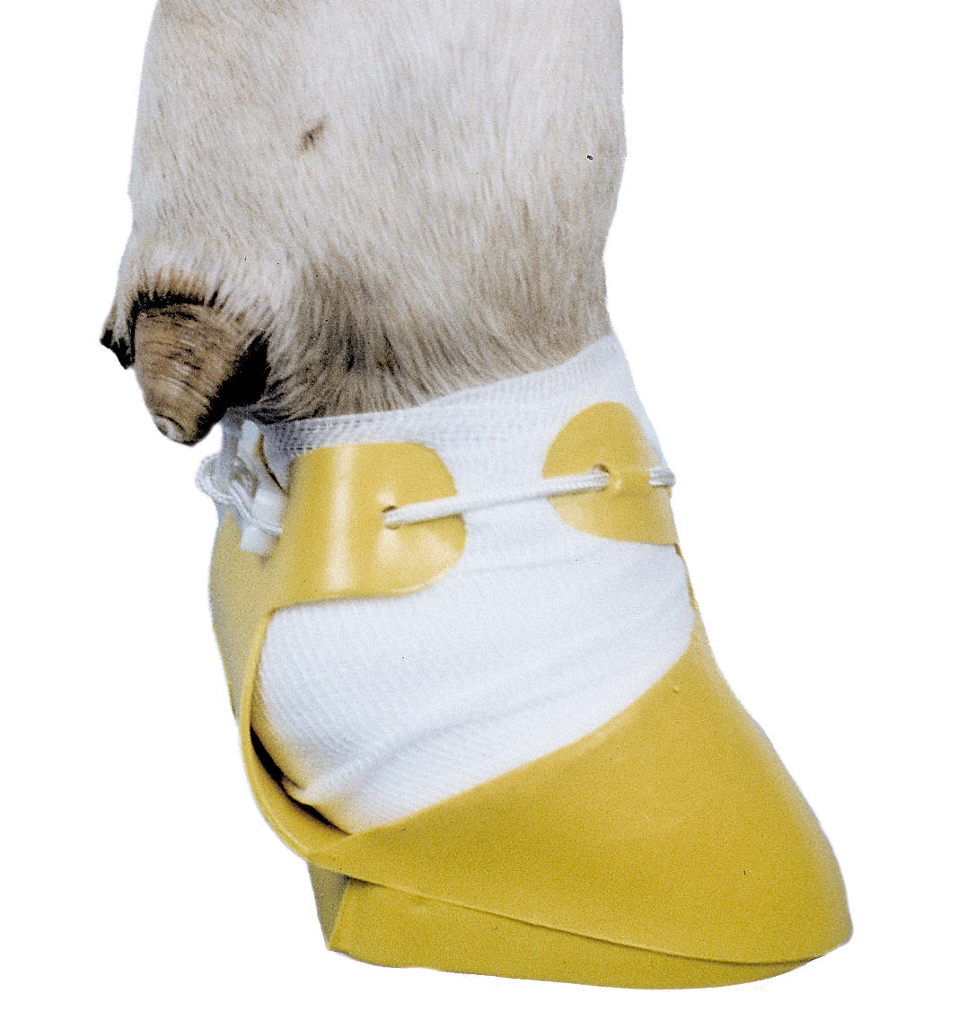 Shoof Chausson pour onglons - différentes versions