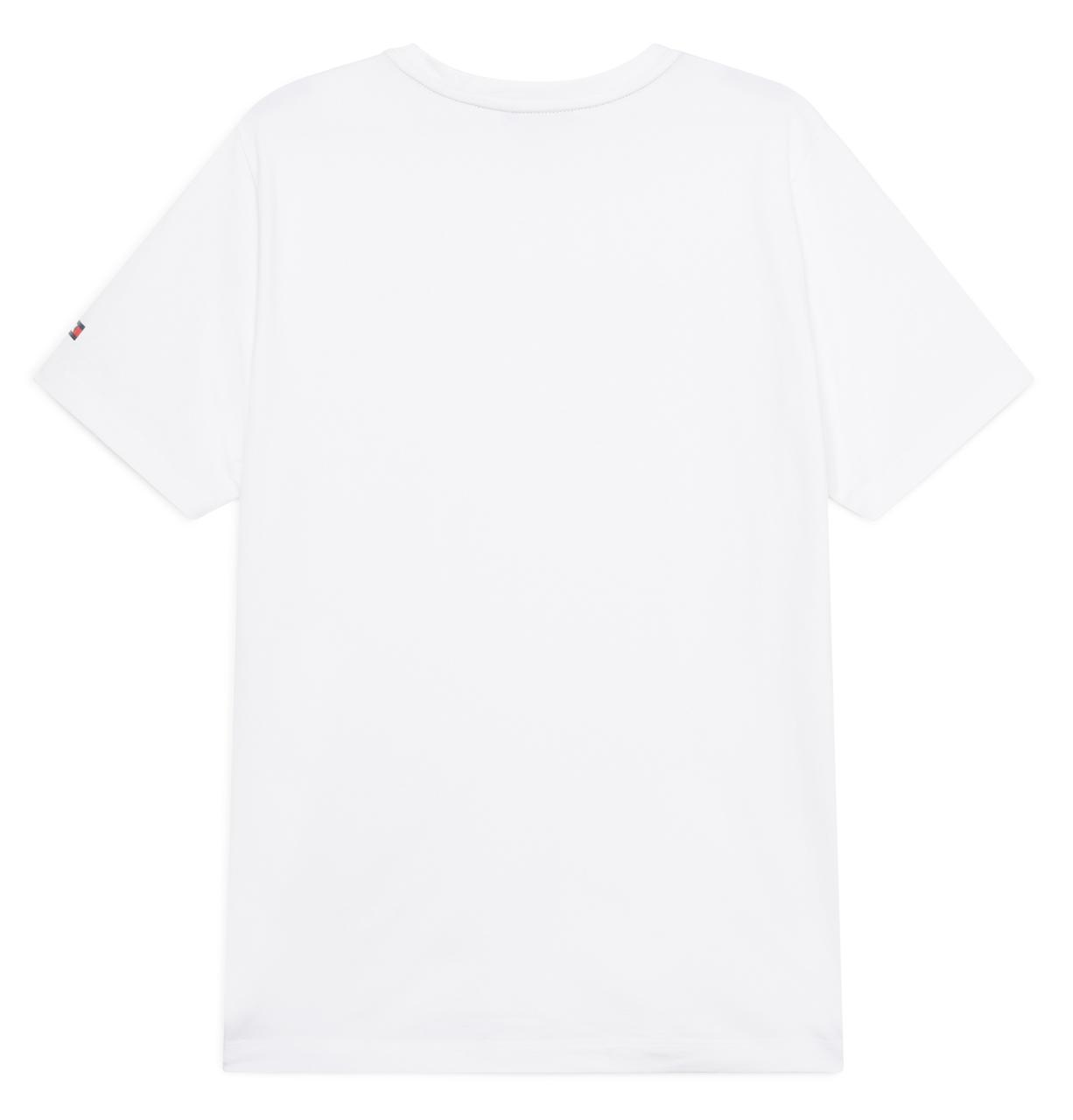 Tommy Hilfiger T-shirt Williamsburg graphique, à manches courtes pour hommes