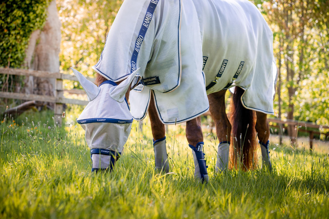 Horseware Chemise Rambo Protector Plus