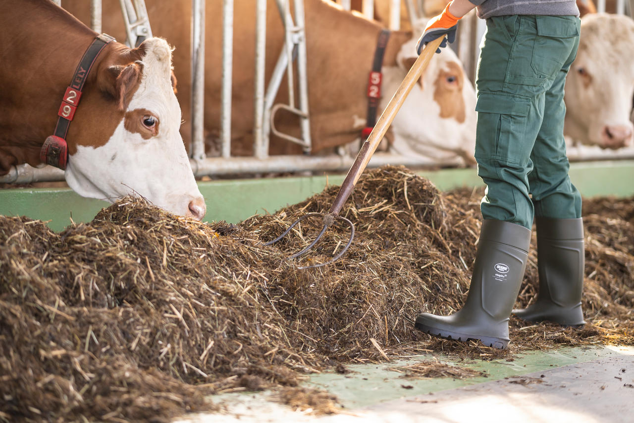 Bekina bottes de sécurité S5 StepliteX®