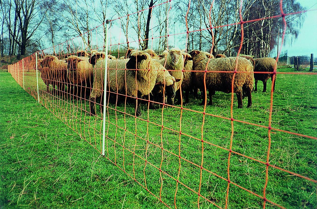 Göbel EURONETZ Filet pour moutons, hauteur 90 cm