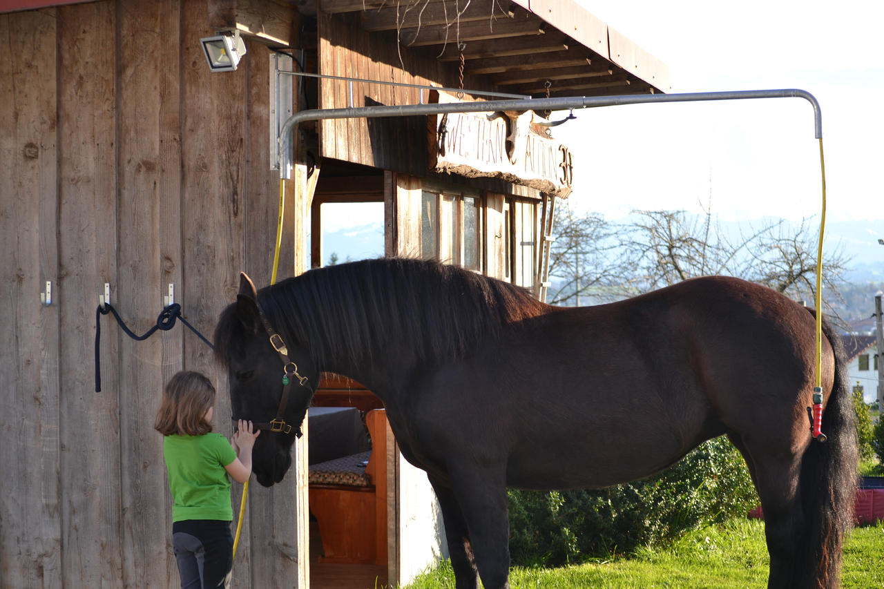 Douche modulable pour chevaux