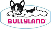 bullyland